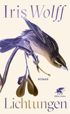 Cover des Romans Lichtungen von Iris Wolff