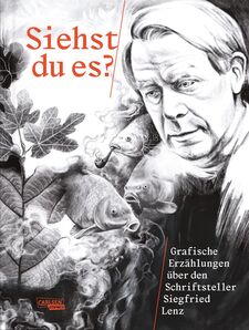 Buchcover der Graphic Novel "Siehst du es?"